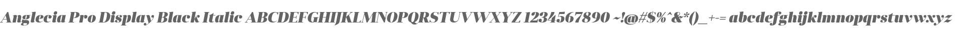 Anglecia Pro Display Black Italic