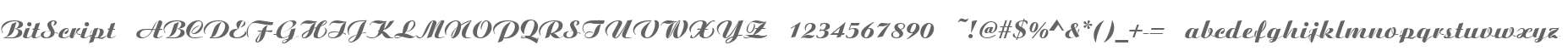 BitScript