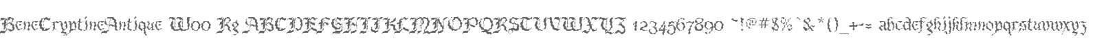 BeneCryptineAntique W00 Rg