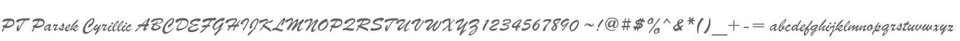 PT Parsek Cyrillic