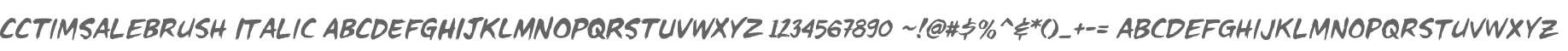 CCTimSaleBrush Italic