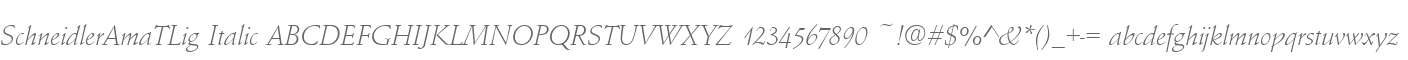 SchneidlerAmaTLig Italic