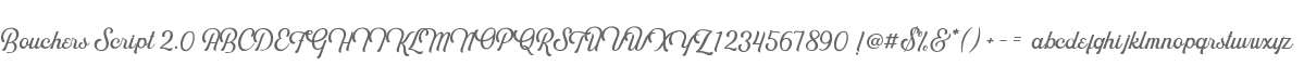 Bouchers Script 2.0