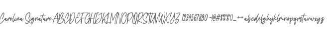 Carolina Signature