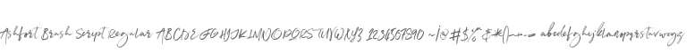 Ashfort Brush Script
