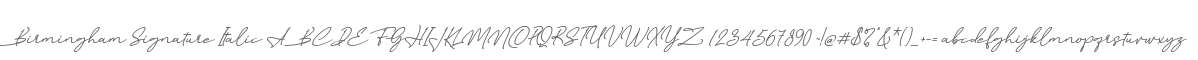 Birmingham Signature Italic