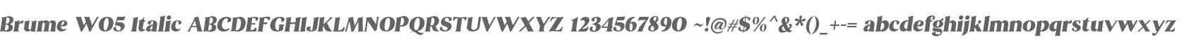 Brume W05 Italic