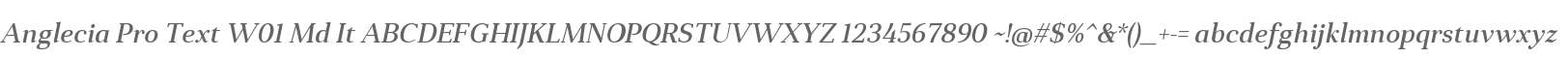 Anglecia Pro Text W01 Md It