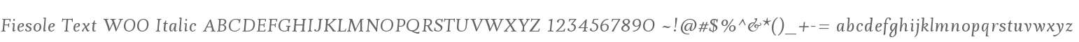Fiesole Text W00 Italic
