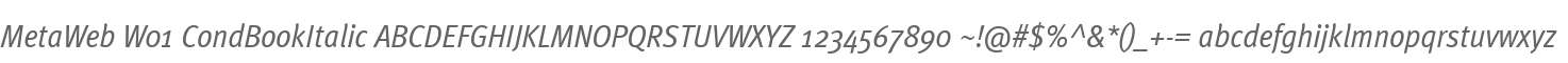 MetaWeb W01 CondBookItalic