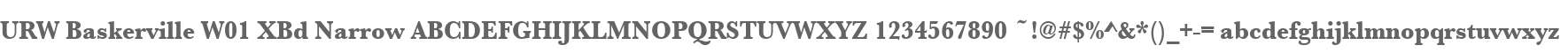 URW Baskerville W01 XBd Narrow