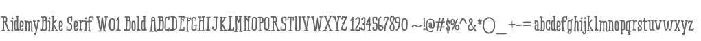 RidemyBike Serif W01 Bold