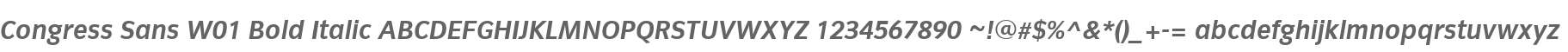 Congress Sans W01 Bold Italic