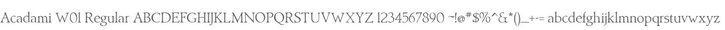 Acadami W01 Regular