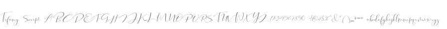 Tifany Script
