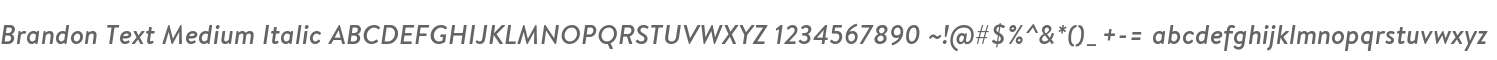 Brandon Text Medium Italic