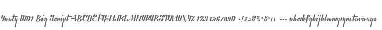 Yanty W01 Big Script