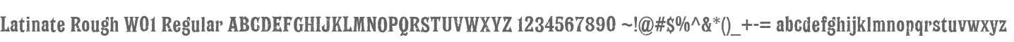 Latinate Rough W01 Regular