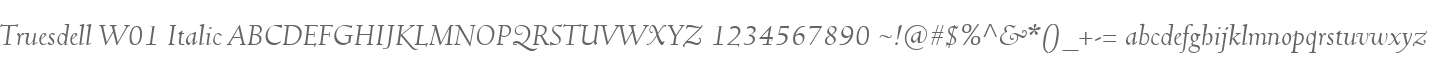 Truesdell W01 Italic