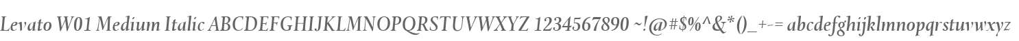 Levato W01 Medium Italic