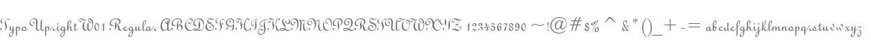 Typo Upright W01 Regular