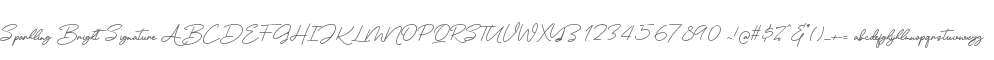 Sparkling Bright Signature