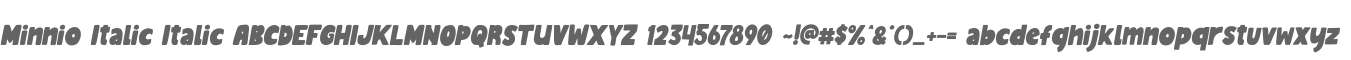 Minnio Italic Italic