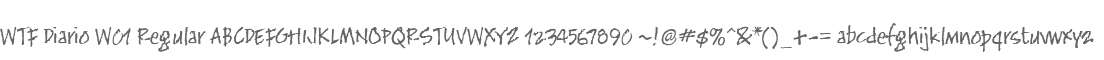 WTF Diario W01 Regular