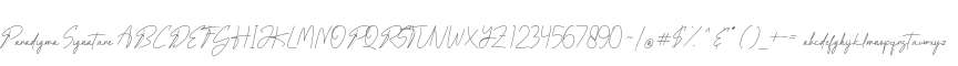 Paradigma Signature