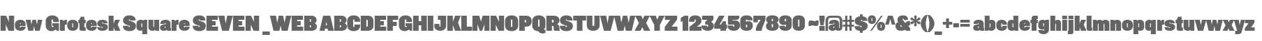 New Grotesk Square SEVEN _WEB