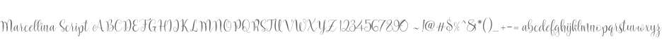 Marcellina Script