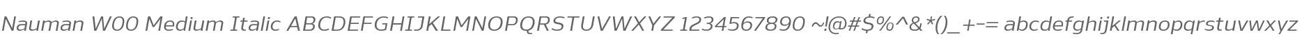 Nauman W00 Medium Italic