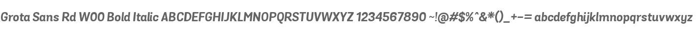 Grota Sans Rd W00 Bold Italic