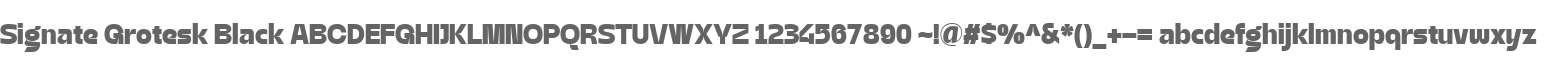 Signate Grotesk Black