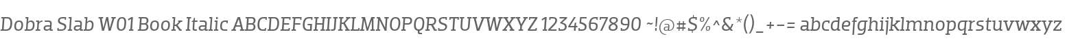 Dobra Slab W01 Book Italic