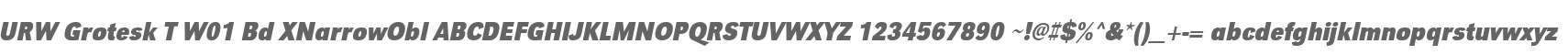 URW Grotesk T W01 Bd XNarrowObl