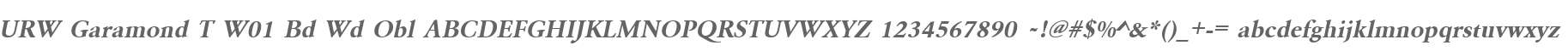 URW Garamond T W01 Bd Wd Obl