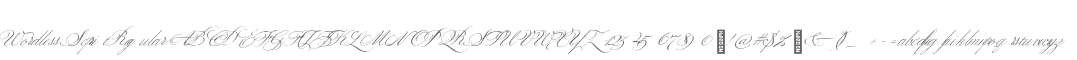 Wordless Script Regular