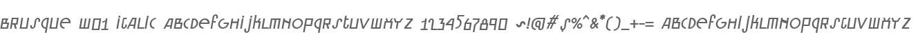 Brusque W01 Italic