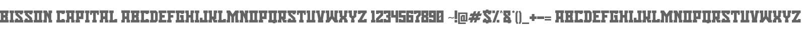 Bisson Capital