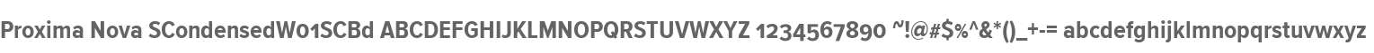 Proxima Nova SCondensedW01SCBd