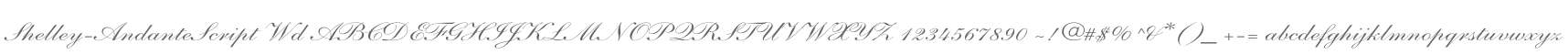 Shelley-AndanteScript Wd