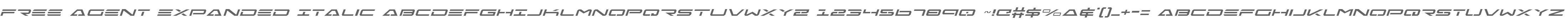 Free Agent Expanded Italic