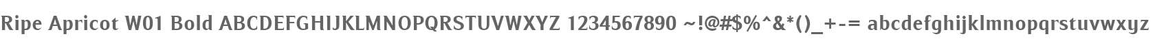 Ripe Apricot W01 Bold
