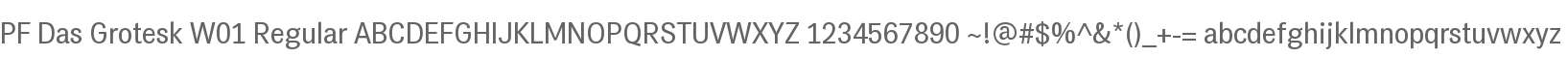 PF Das Grotesk W01 Regular