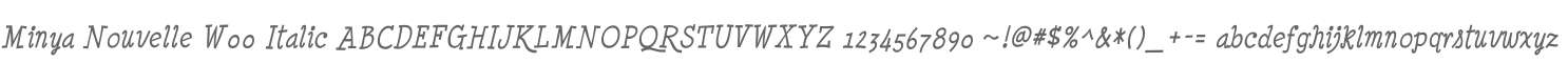 Minya Nouvelle W00 Italic