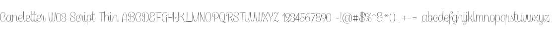 Caneletter W03 Script Thin