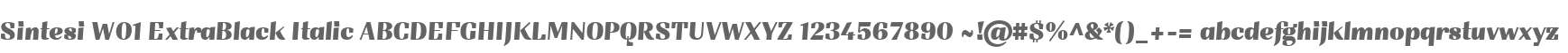 Sintesi W01 ExtraBlack Italic