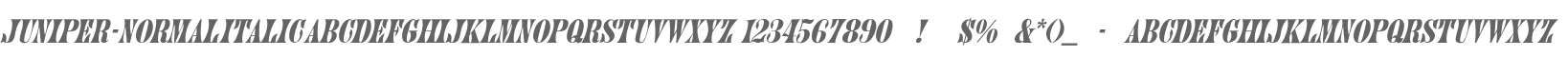 Juniper-Normal Italic