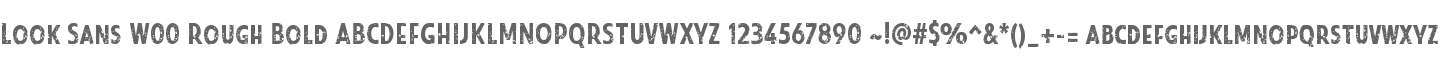 Look Sans W00 Rough Bold